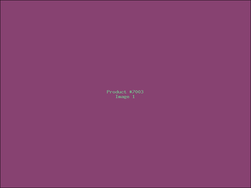 Example Product 7003
