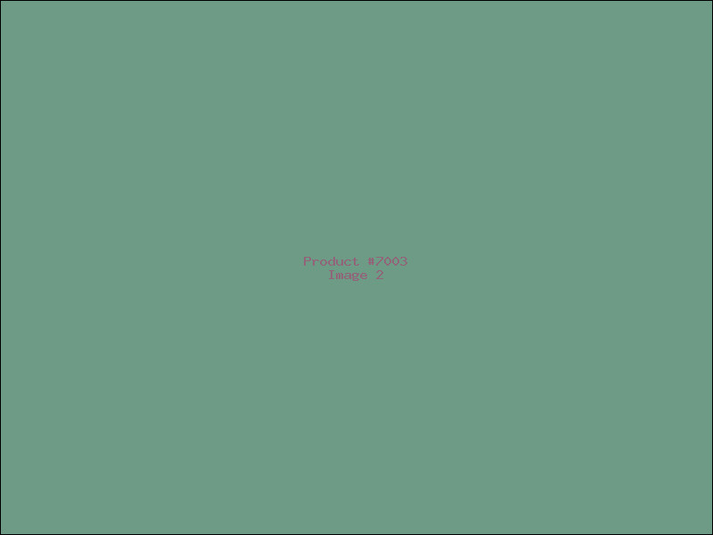 Example Product 7003 - Image 2