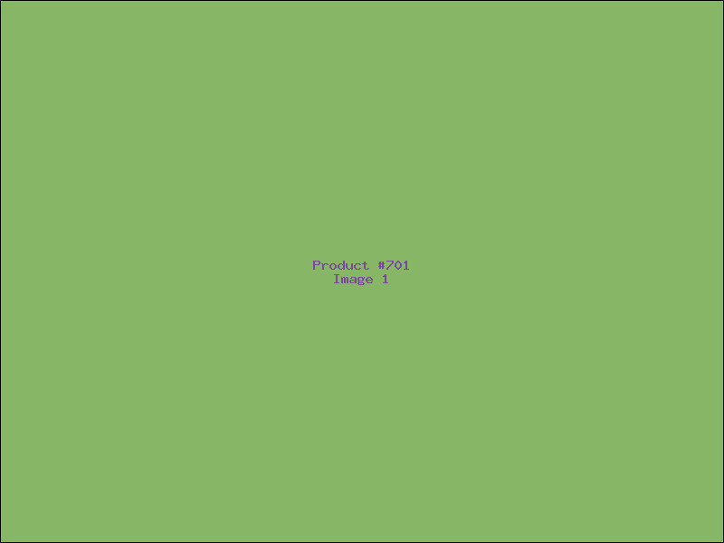Example Product 701