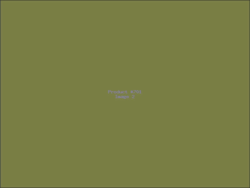 Example Product 701 - Image 2