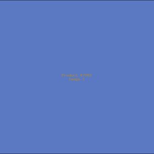 Example Product 7082