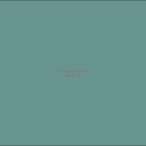 Example Product 7091