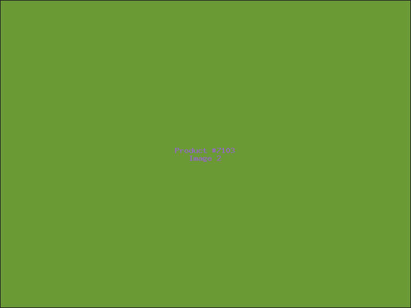 Example Product 7103 - Image 2