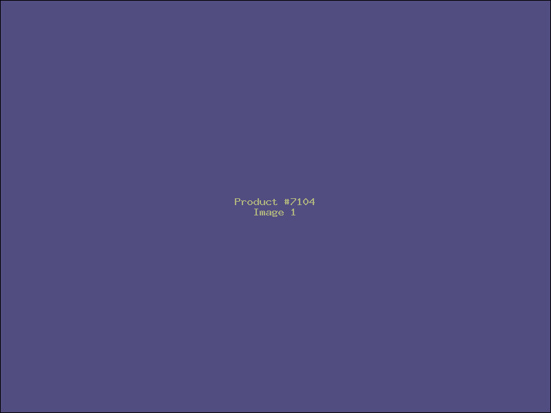 Example Product 7104