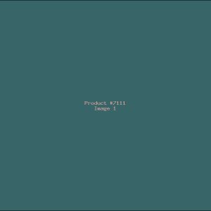 Example Product 7111