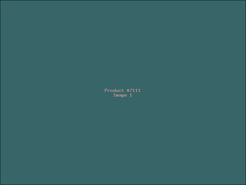 Example Product 7111