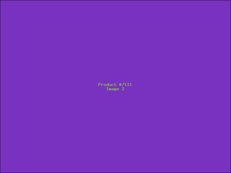 Example Product 7111 - Image 2
