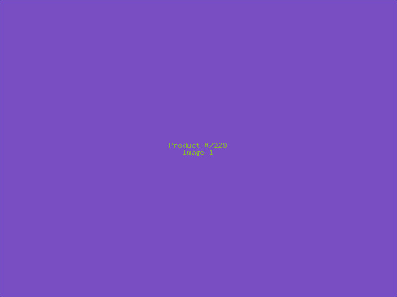 Example Product 7229