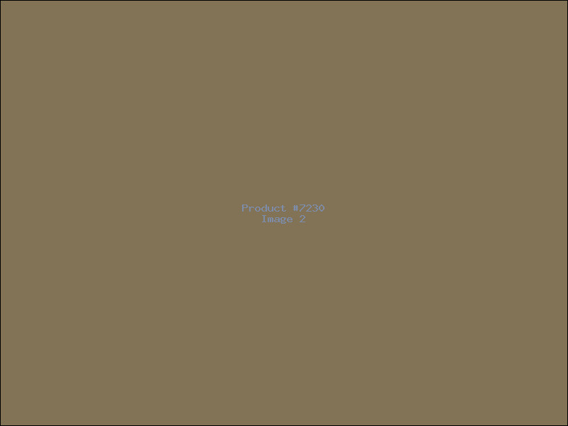 Example Product 7230 - Image 2