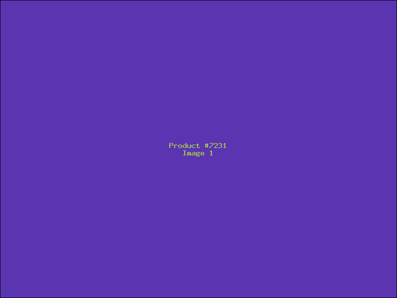 Example Product 7231