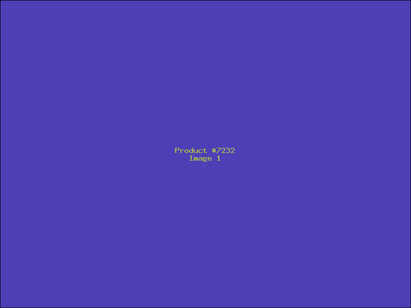 Example Product 7232
