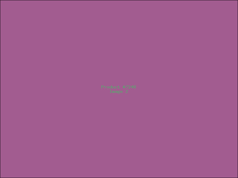 Example Product 7248 - Image 2