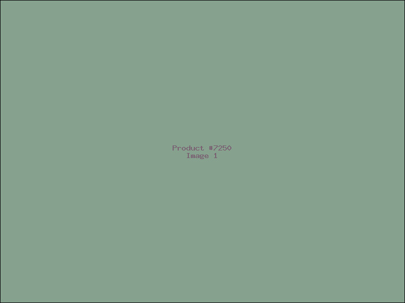 Example Product 7250