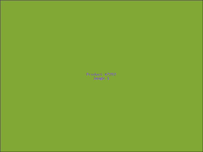Example Product 7262