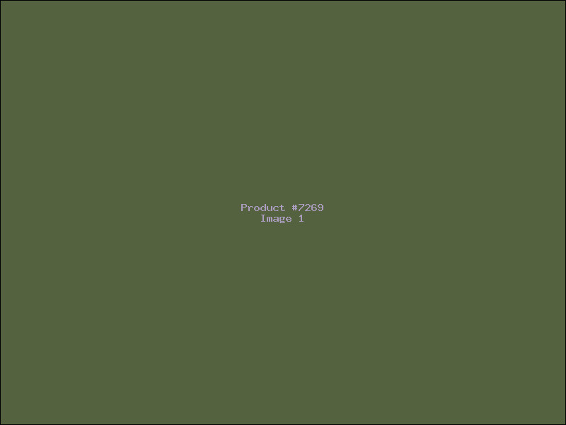 Example Product 7269