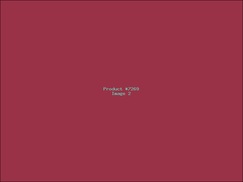Example Product 7269 - Image 2