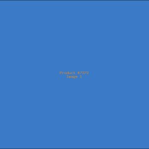 Example Product 7272