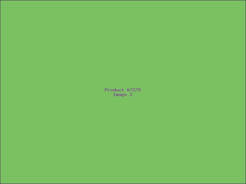 Example Product 7279 - Image 2