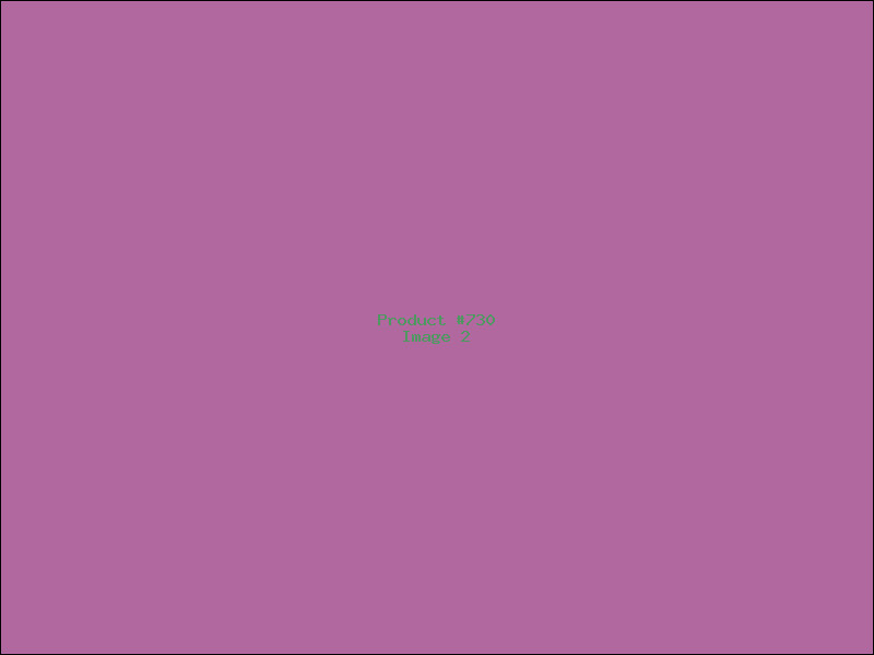 Example Product 730 - Image 2