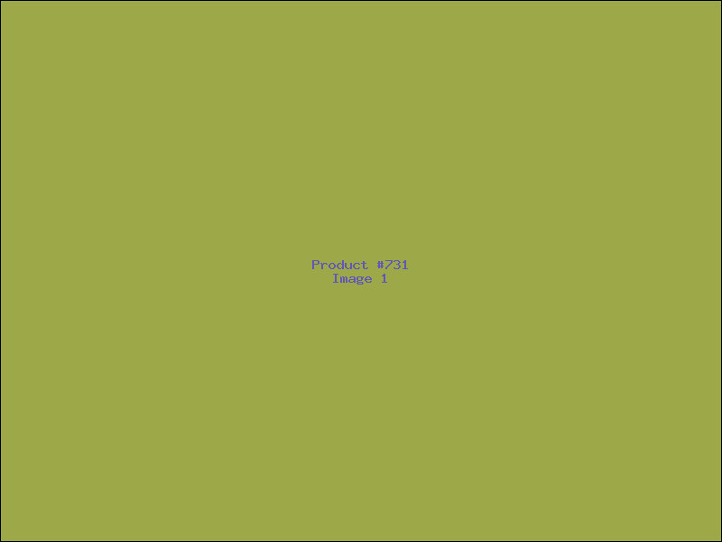 Example Product 731