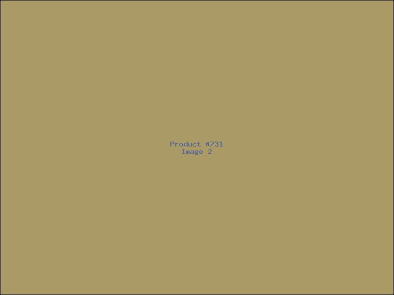 Example Product 731 - Image 2