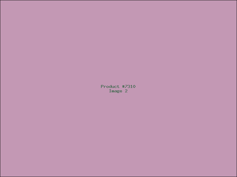 Example Product 7310 - Image 2