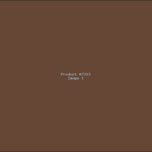 Example Product 7313