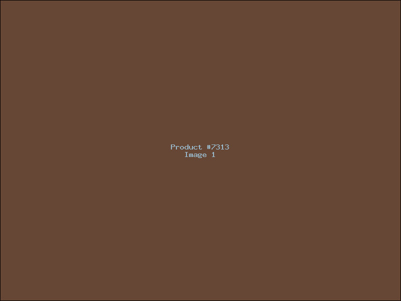 Example Product 7313
