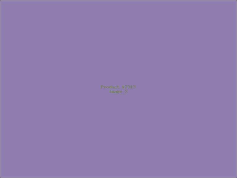 Example Product 7313 - Image 2