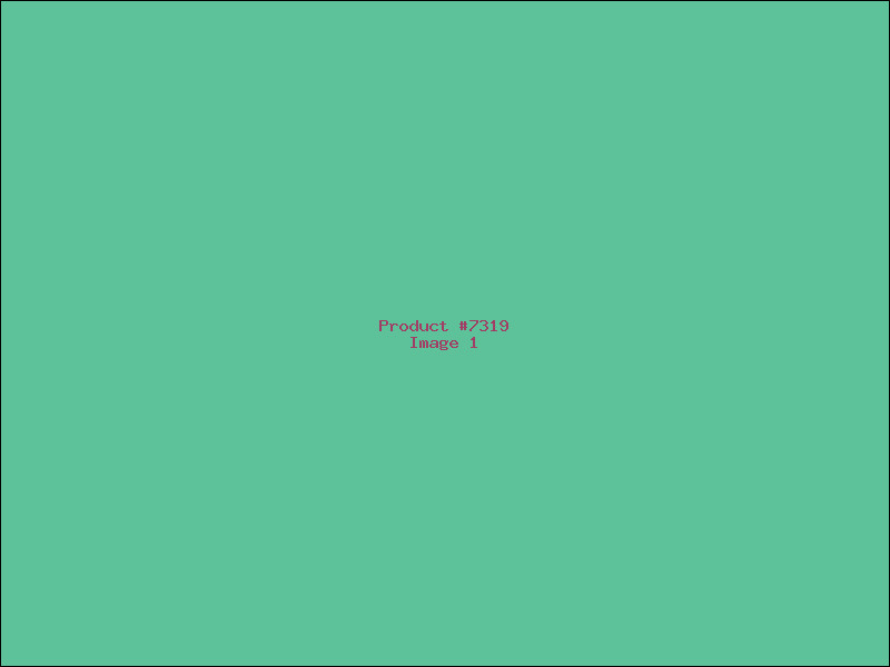 Example Product 7319