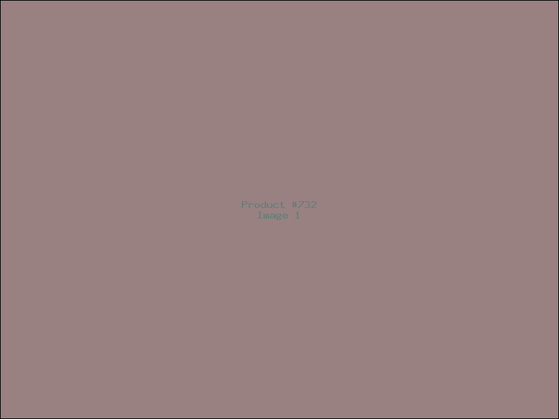 Example Product 732
