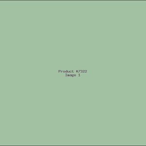 Example Product 7322