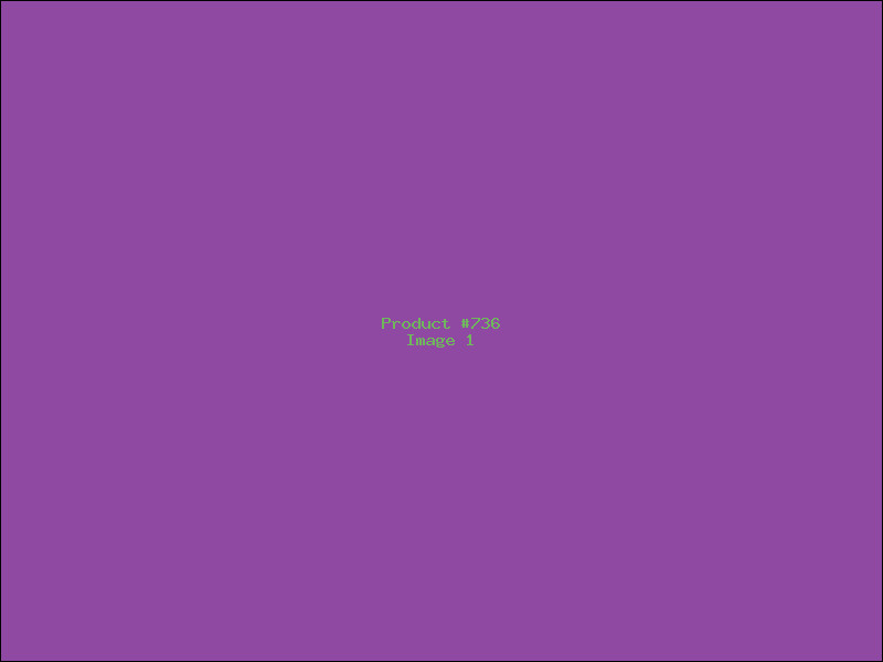 Example Product 736