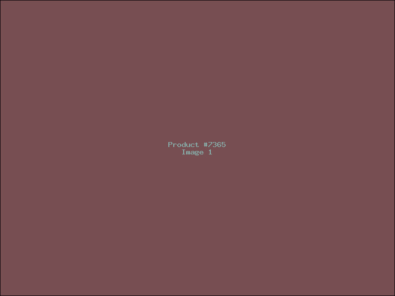 Example Product 7365