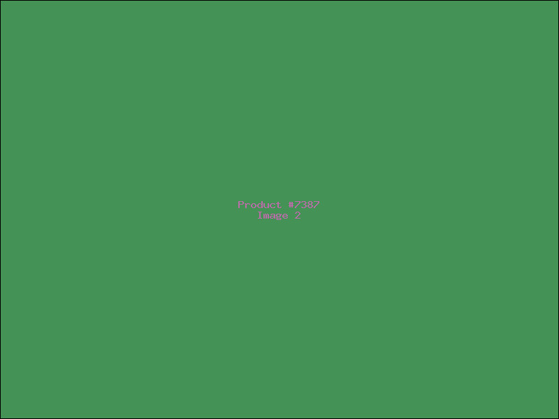 Example Product 7387 - Image 2
