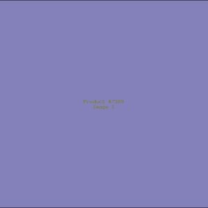 Example Product 7389
