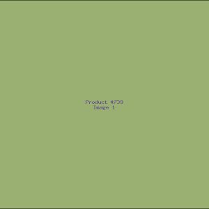 Example Product 739