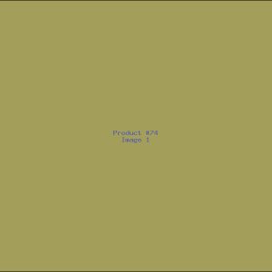 Example Product 74