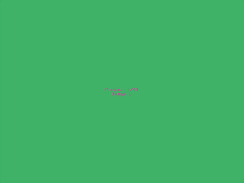 Example Product 744