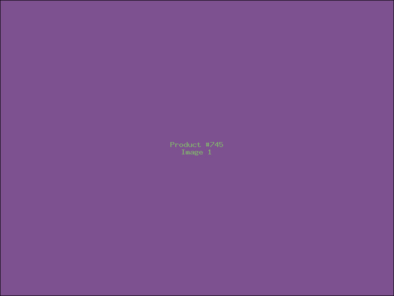 Example Product 745