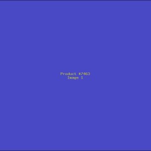 Example Product 7463