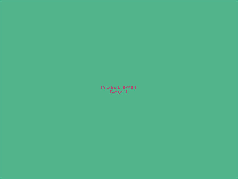 Example Product 7466