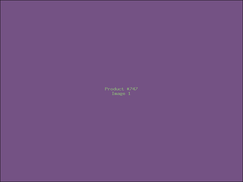 Example Product 747