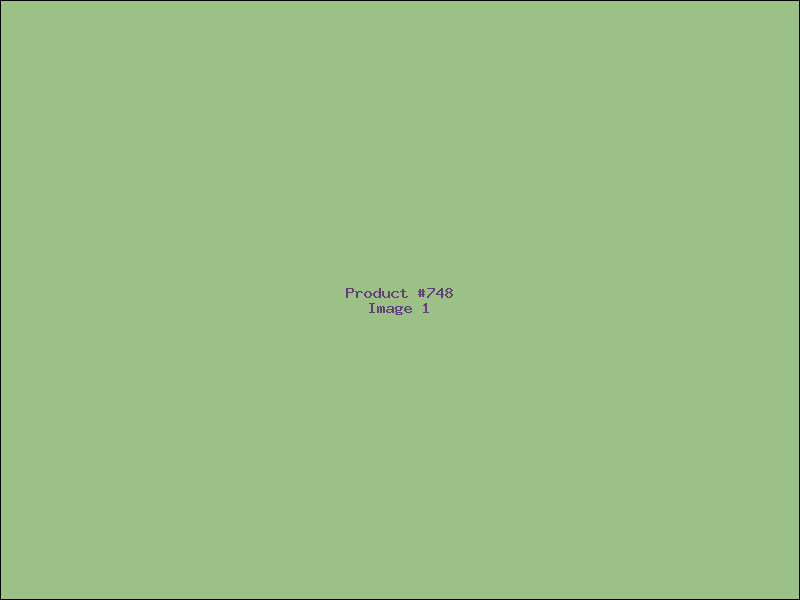 Example Product 748