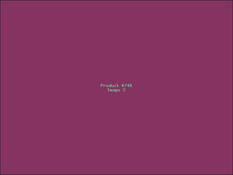Example Product 748 - Image 2
