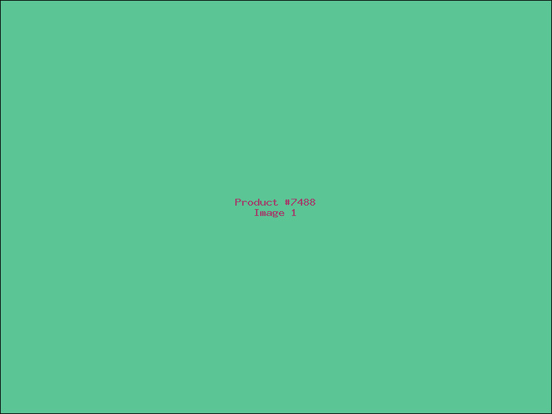 Example Product 7488