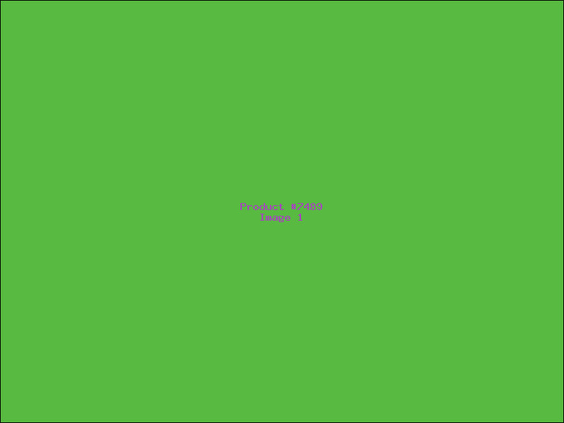 Example Product 7489