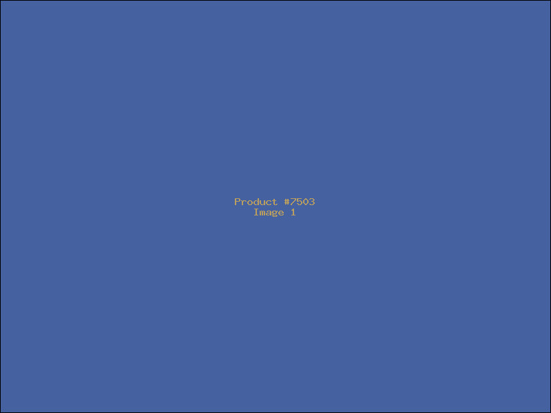 Example Product 7503