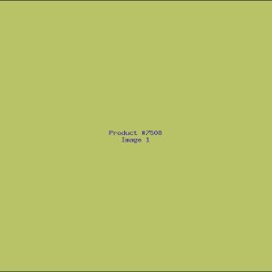 Example Product 7508