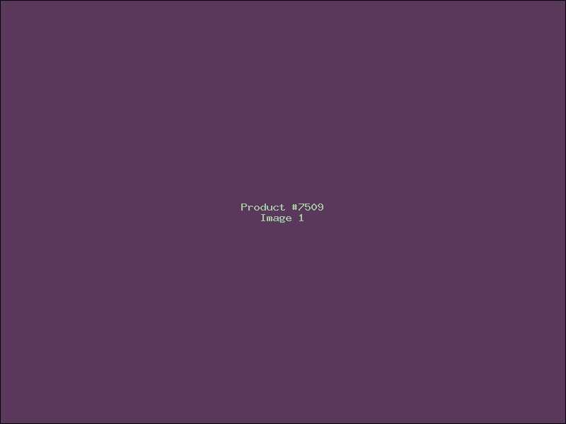 Example Product 7509